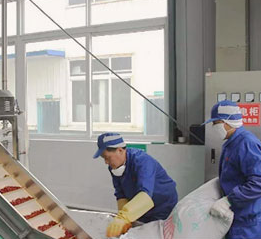 重慶最有名的火鍋底料為何味道好，這幾方面是關(guān)鍵！