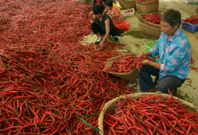 火鍋底料一次性好不好選擇火鍋底料有什么講究？